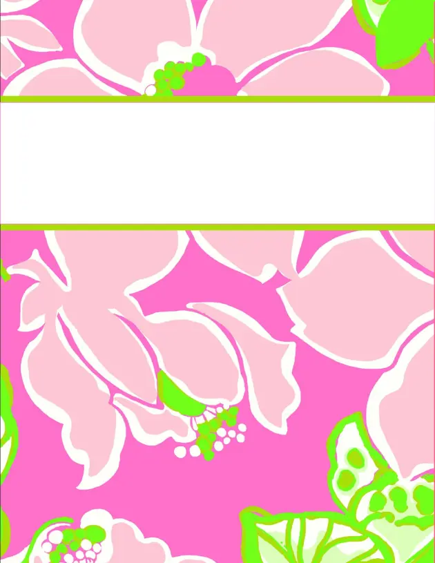 binder covers2